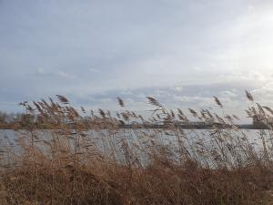 Annelies 01 Flevopark Nieuwjaarsdag